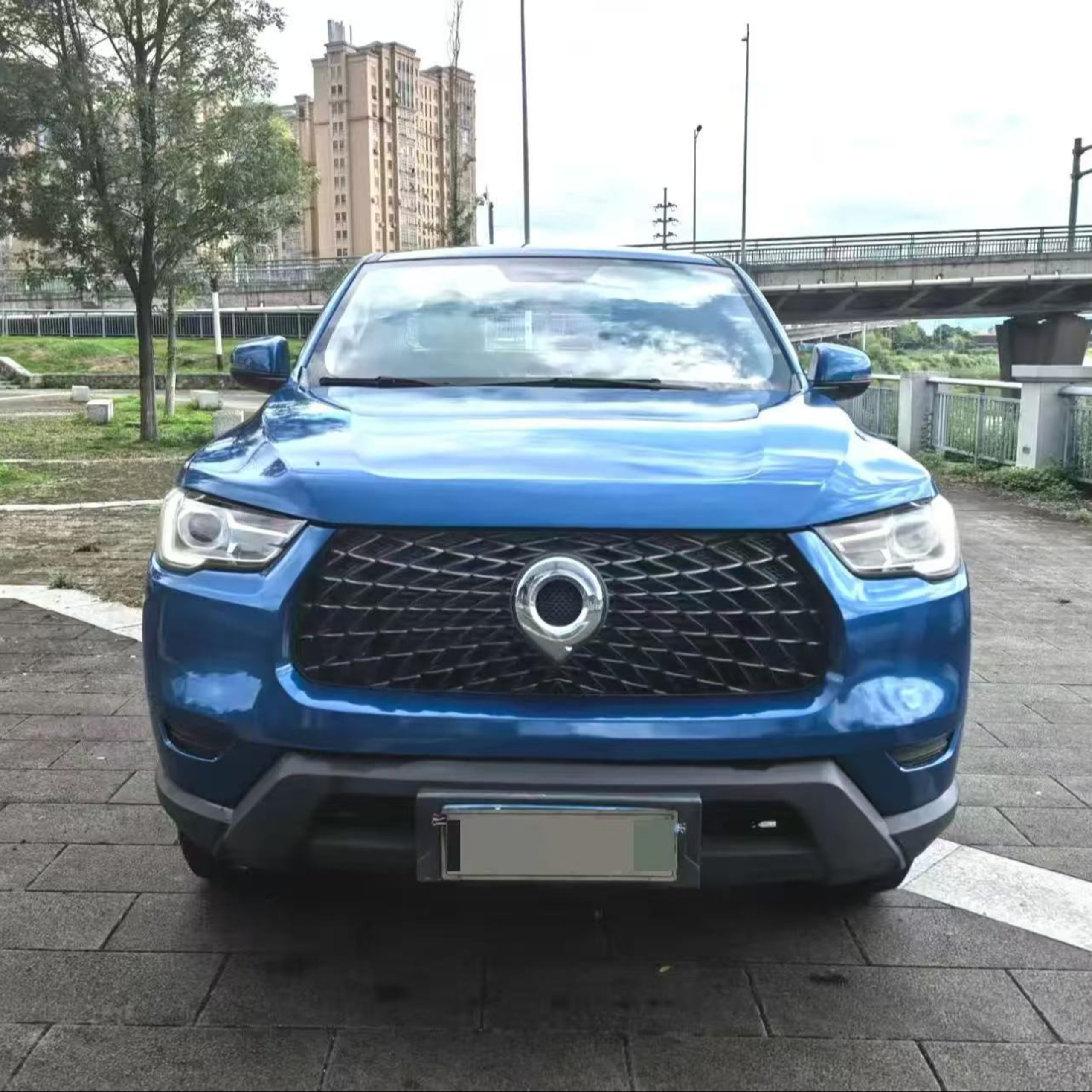 2021 POER pickup truck